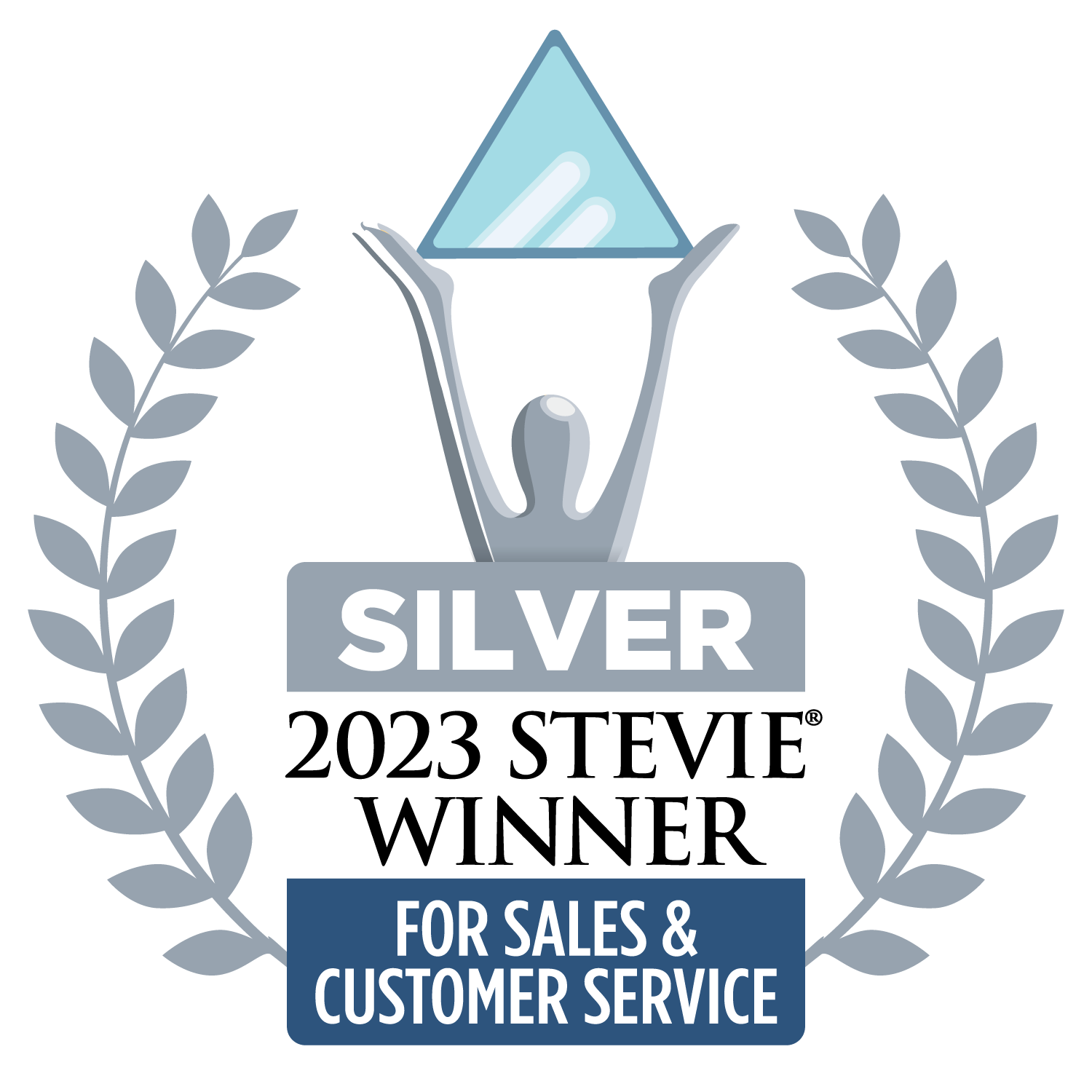 2023 Stevie Silver Award for Customer Service Success